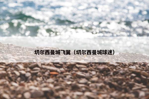 切尔西曼城飞翼（切尔西曼城球迷）