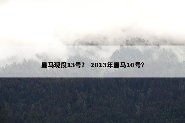 皇马现役13号？ 2013年皇马10号？
