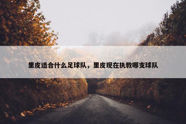 里皮适合什么足球队，里皮现在执教哪支球队