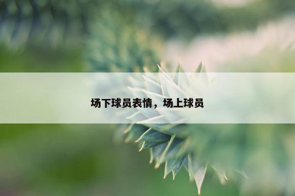 场下球员表情，场上球员