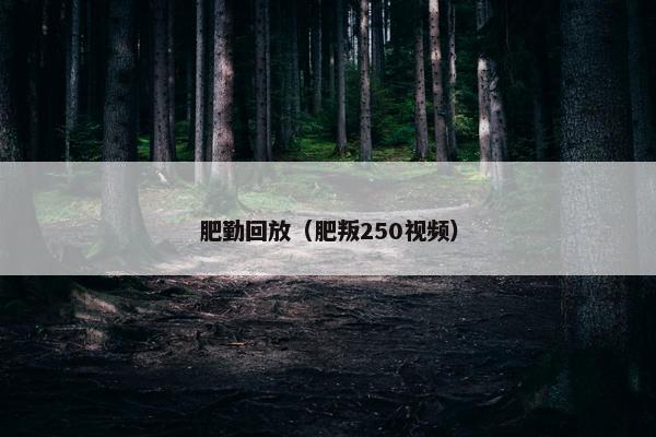 肥勤回放（肥叛250视频）