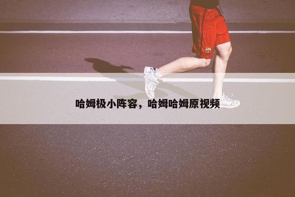 哈姆极小阵容，哈姆哈姆原视频