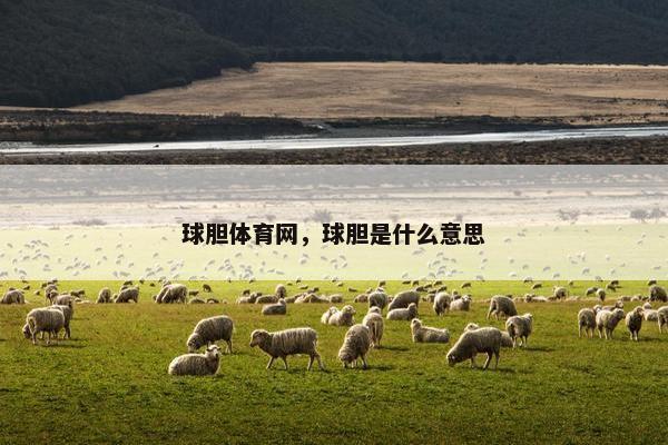 球胆体育网，球胆是什么意思