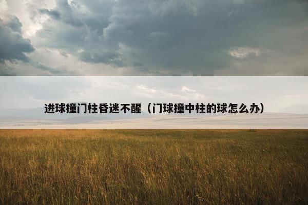 进球撞门柱昏迷不醒（门球撞中柱的球怎么办）