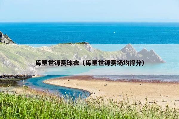 库里世锦赛球衣（库里世锦赛场均得分）