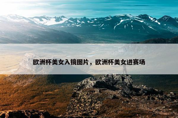 欧洲杯美女入镜图片，欧洲杯美女进赛场