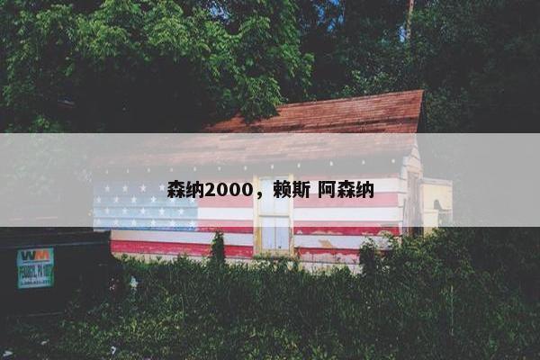 森纳2000，赖斯 阿森纳