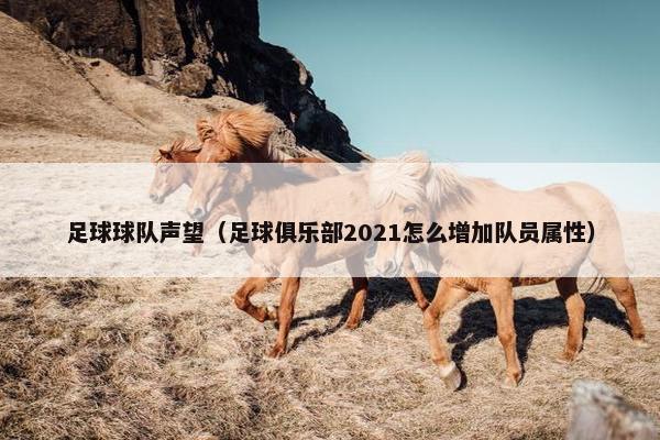 足球球队声望（足球俱乐部2021怎么增加队员属性）