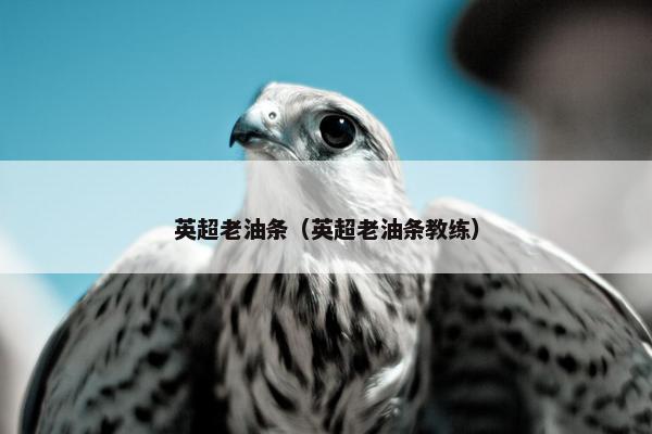 英超老油条（英超老油条教练）