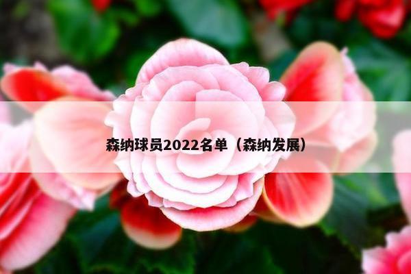 森纳球员2022名单（森纳发展）