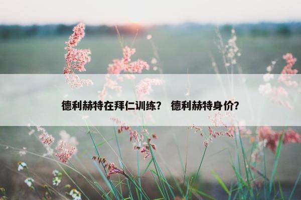德利赫特在拜仁训练？ 德利赫特身价？