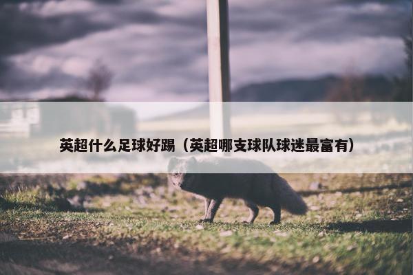 英超什么足球好踢（英超哪支球队球迷最富有）
