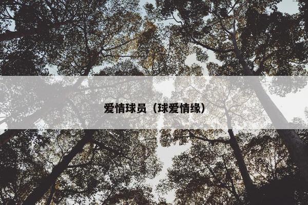 爱情球员（球爱情缘）