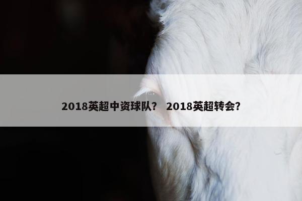 2018英超中资球队？ 2018英超转会？