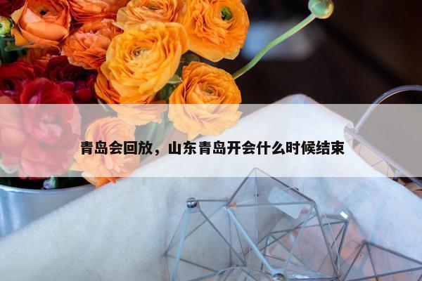 青岛会回放，山东青岛开会什么时候结束