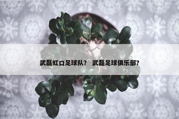 武磊虹口足球队？ 武磊足球俱乐部？