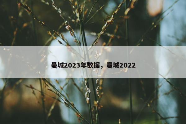曼城2023年数据，曼城2022
