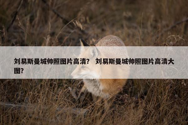 刘易斯曼城帅照图片高清？ 刘易斯曼城帅照图片高清大图？