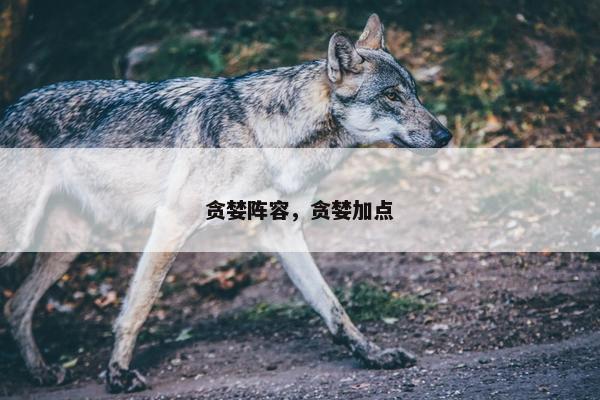 贪婪阵容，贪婪加点