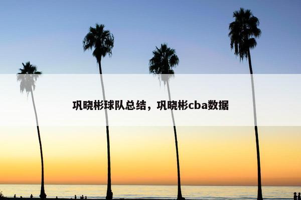 巩晓彬球队总结，巩晓彬cba数据