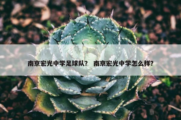 南京宏光中学足球队？ 南京宏光中学怎么样？