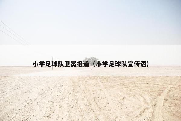小学足球队卫冕报道（小学足球队宣传语）