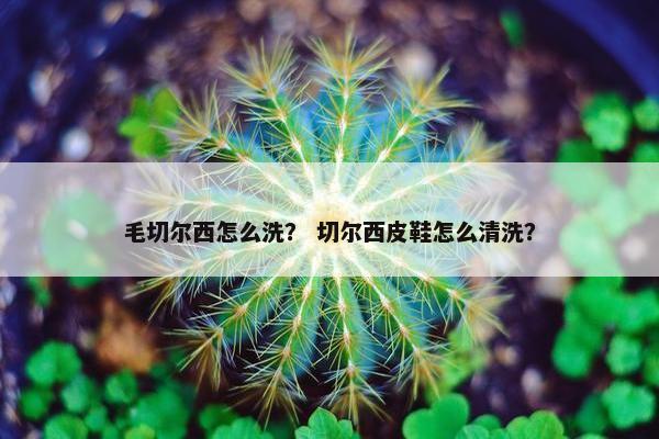 毛切尔西怎么洗？ 切尔西皮鞋怎么清洗？
