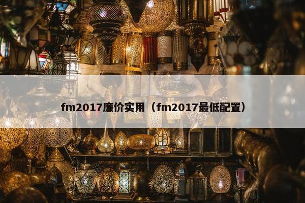 fm2017廉价实用（fm2017最低配置）