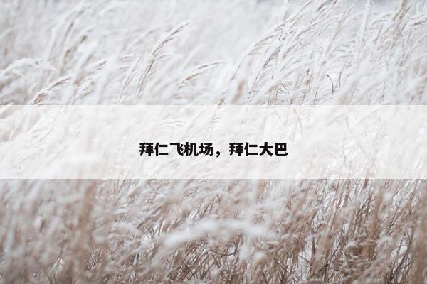 拜仁飞机场，拜仁大巴