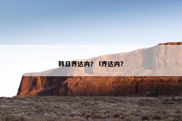 韩日齐达内？ l齐达内？