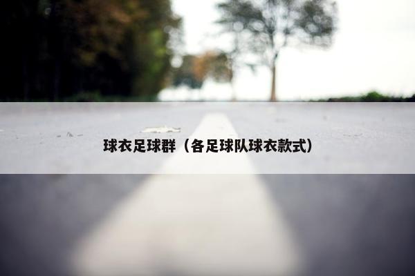 球衣足球群（各足球队球衣款式）