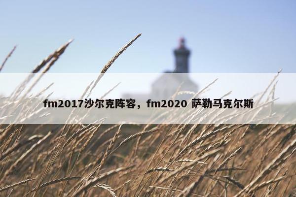 fm2017沙尔克阵容，fm2020 萨勒马克尔斯