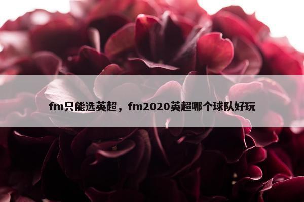 fm只能选英超，fm2020英超哪个球队好玩