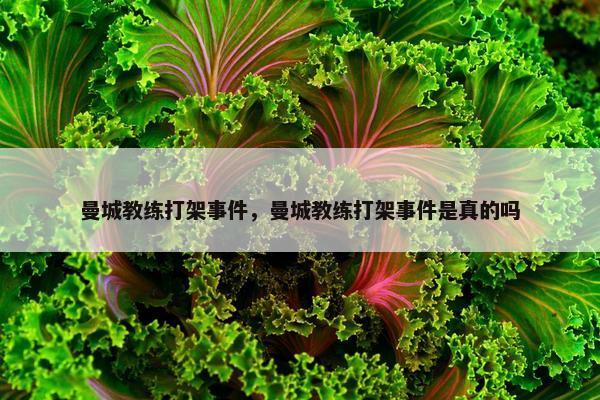 曼城教练打架事件，曼城教练打架事件是真的吗
