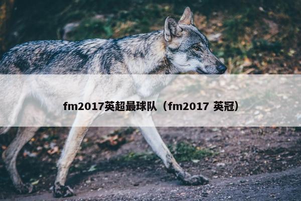 fm2017英超最球队（fm2017 英冠）