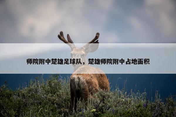 师院附中楚雄足球队，楚雄师院附中占地面积