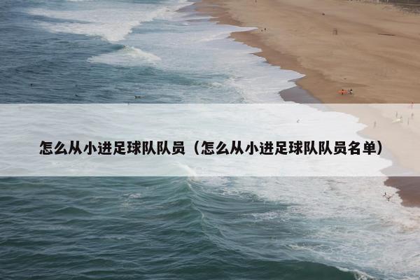 怎么从小进足球队队员（怎么从小进足球队队员名单）