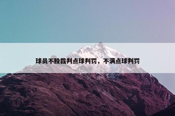 球员不股裁判点球判罚，不满点球判罚