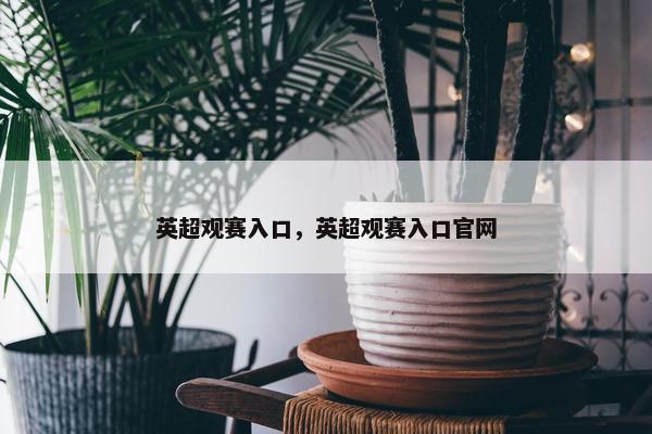 英超观赛入口，英超观赛入口官网