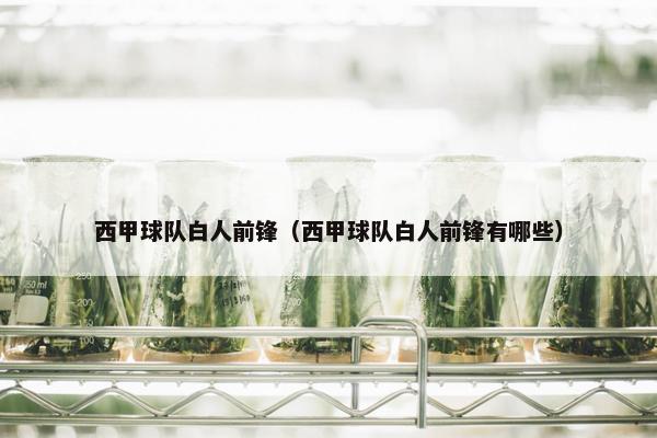 西甲球队白人前锋（西甲球队白人前锋有哪些）