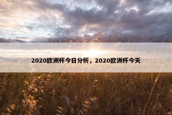 2020欧洲杯今日分析，2020欧洲杯今天