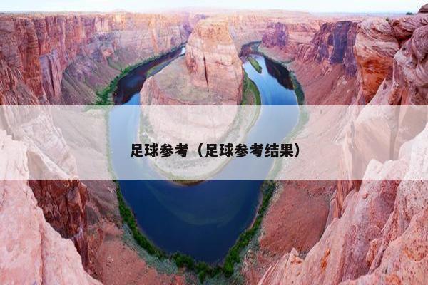 足球参考（足球参考结果）