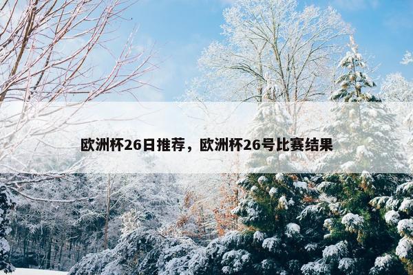 欧洲杯26日推荐，欧洲杯26号比赛结果