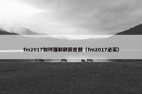 fm2017如何强制刷新皮肤（fm2017必买）