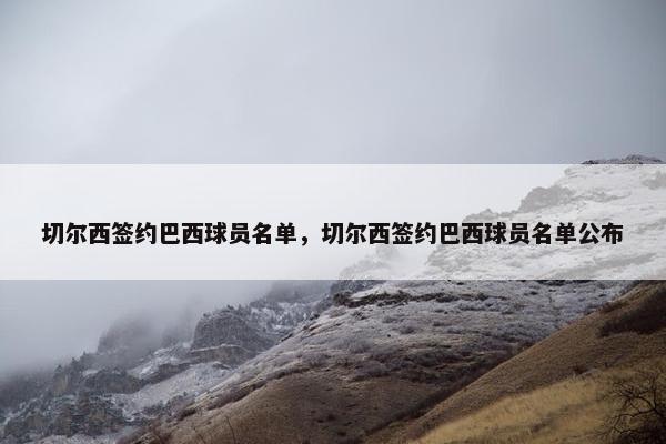 切尔西签约巴西球员名单，切尔西签约巴西球员名单公布