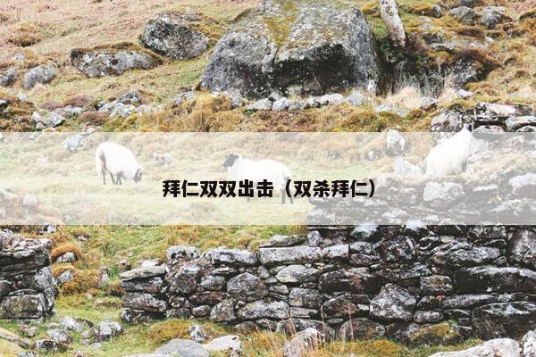 拜仁双双出击（双杀拜仁）