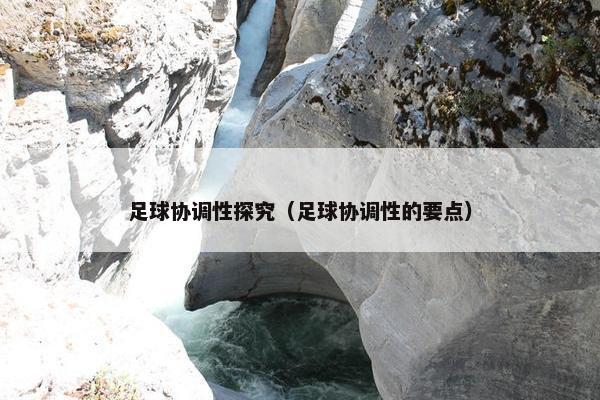 足球协调性探究（足球协调性的要点）