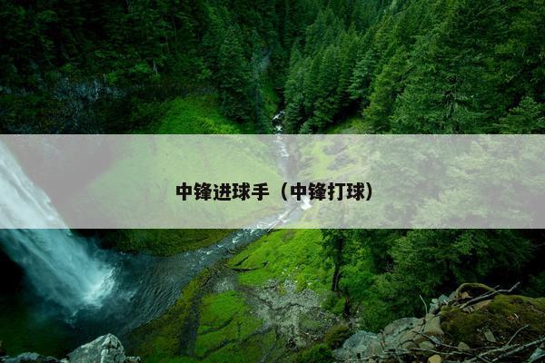 中锋进球手（中锋打球）