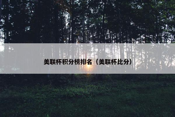 美联杯积分榜排名（美联杯比分）