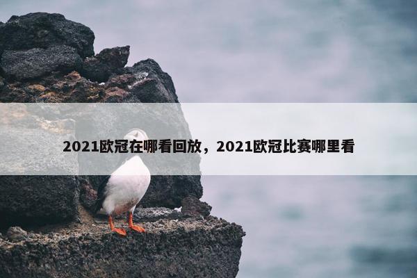 2021欧冠在哪看回放，2021欧冠比赛哪里看